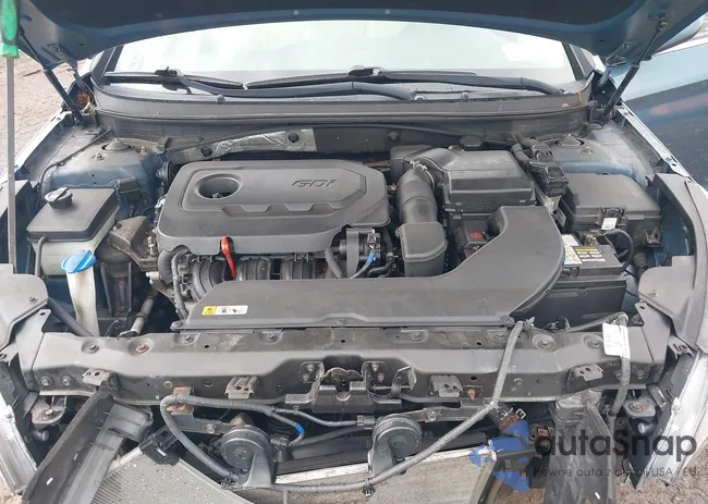 5NPE24AF9HH460878: 43065735