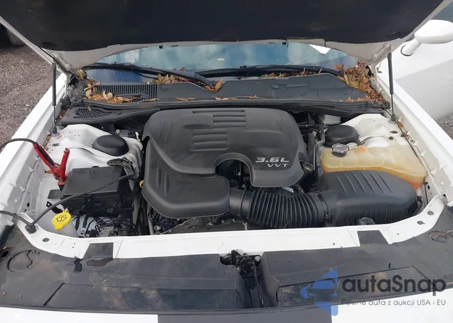 2C3CDZAG6JH215207: 43066479