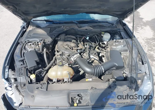 1FA6P8AM9F5338486: 43067493