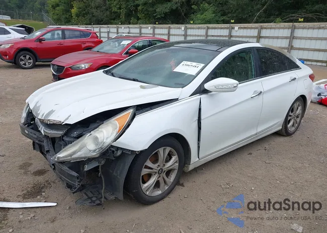 5NPEC4AC0DH631269: 43069481