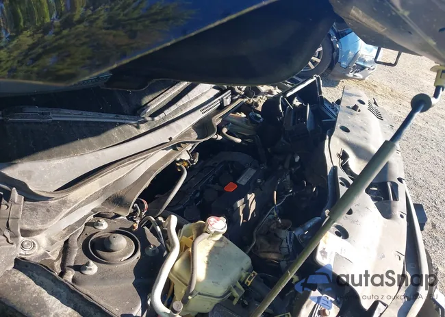 19XFC2F53GE041921: 43069592