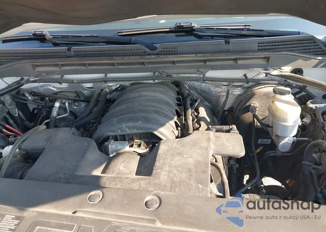 3GTP1VEC3EG225009: 43068856