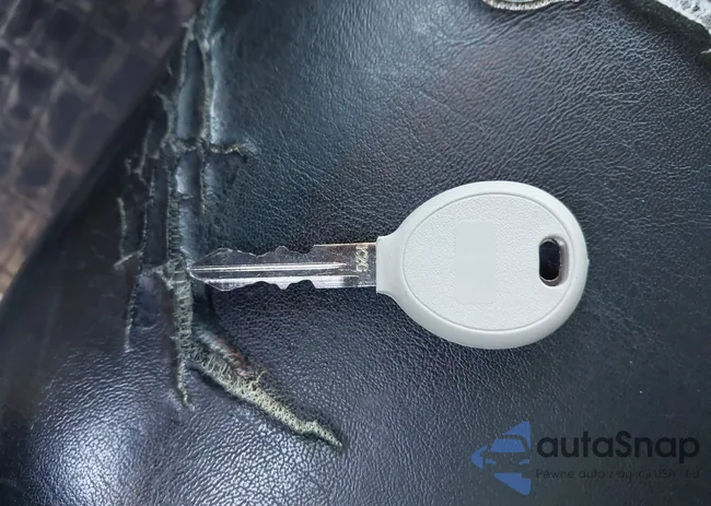 2B3KA53H56H499923: 43071344