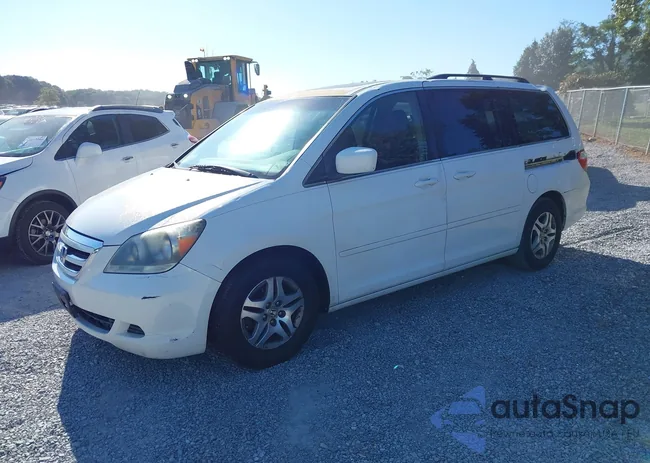 5FNRL38776B431964: 43071689