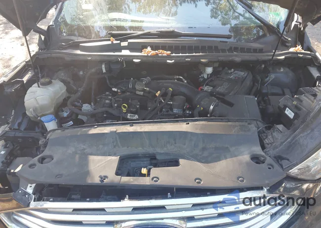 2FMPK4G99LBA73399: 43072254