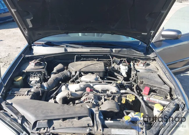 4S4BP62CX87305518: 43073528