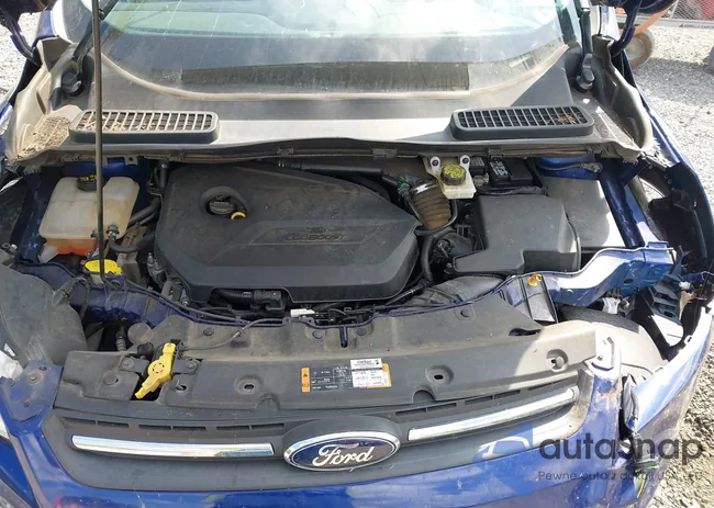 1FMCU0GX9EUD36410: 43074259