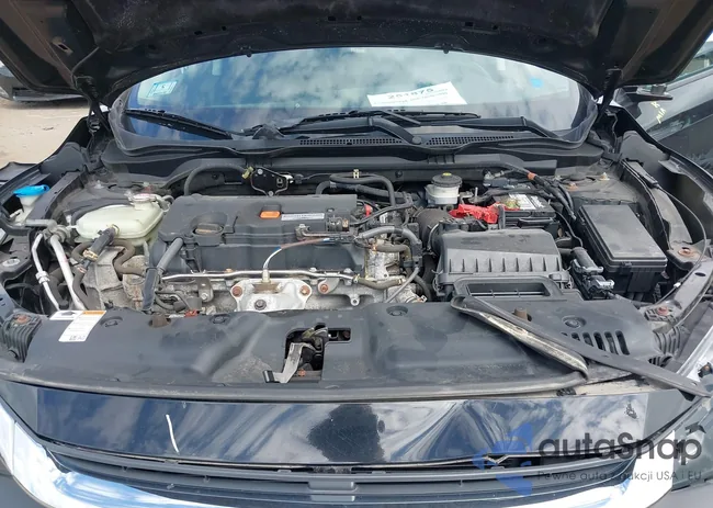 2HGFC2F53JH527917: 43076641