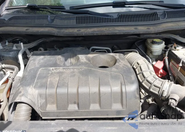 1FM5K7DH6GGA33896: 43075889