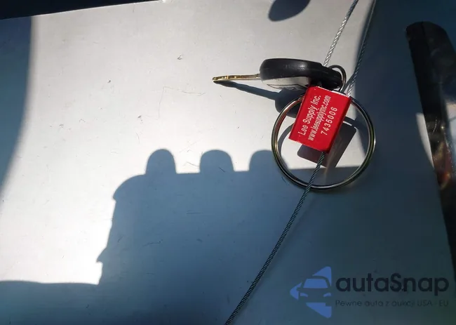 1G3NL52F22C247419: 43078273