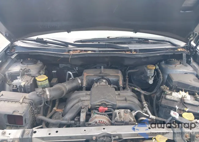 4S4WX90D684403154: 43078010