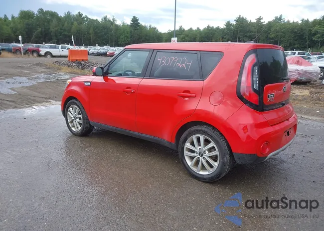 KNDJP3A51H7500974: 43079224