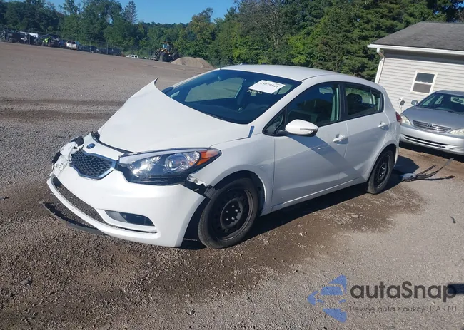 KNAFK5A88G5623124: 43079541