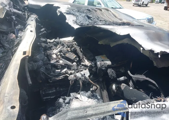 3TYLE5JN6RT031726: 43080369