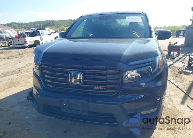 5FPYK3F15PB049146: 43080586