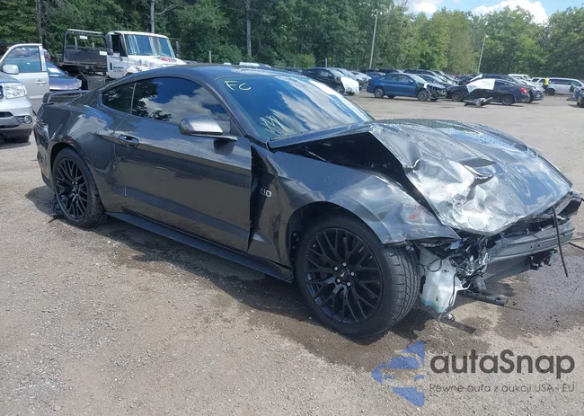 1FA6P8CF2L5169342: 43080795