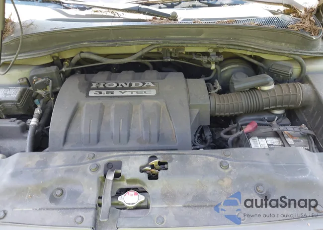 5FNYF18415B026341: 43082713