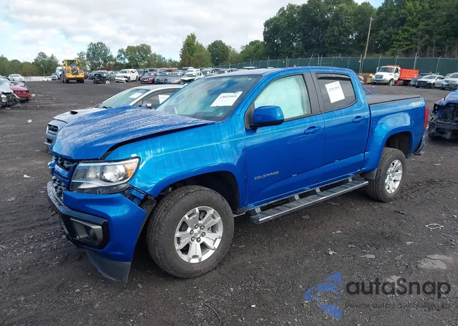 1GCGTCEN2N1294398: 43083068