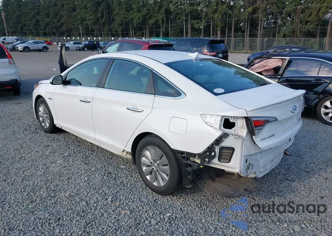 KMHE24L38HA061319: 43084229