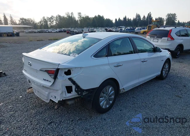 KMHE24L38HA061319: 43084229