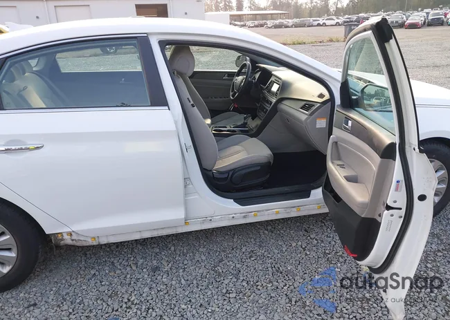 KMHE24L38HA061319: 43084229