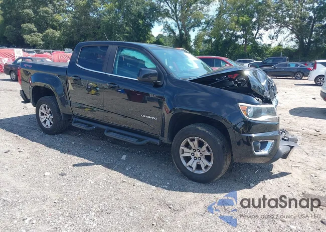 1GCGTCEN1K1106241: 43085316