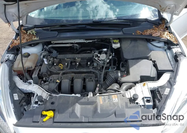 1FADP3K29JL295599: 43087205