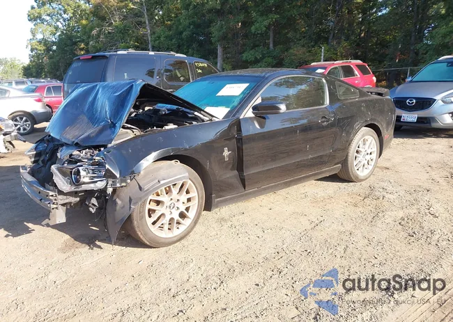 1ZVBP8AM5D5200513: 43087312