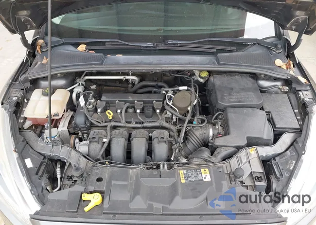 1FADP3F25FL381767: 43087346