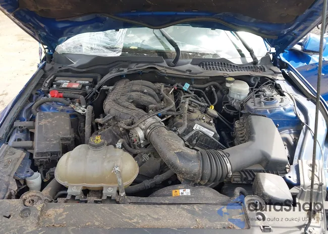 1FA6P8AM6H5234718: 43087499