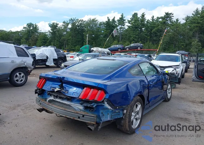 1FA6P8AM6H5234718: 43087499