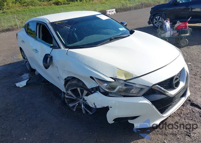 1N4AA6AP2HC403798: 43087525