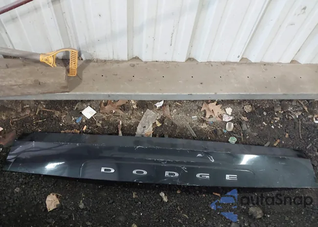 2C4RDGCG9DR726948: 43087704