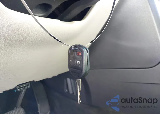 1FM5K8B89DGB50568: 43086830