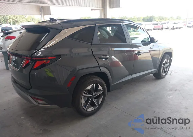 5NMJB3DE7SH595387: 43088307