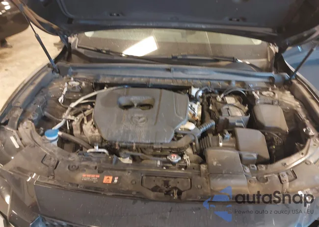 7MMVABDM8SN313234: 43089098