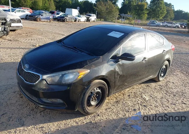 KNAFX4A84F5343842: 43091455