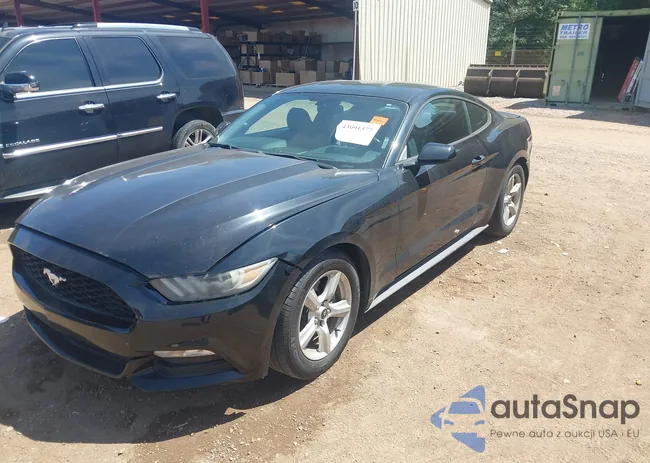 1FA6P8AM2G5265155: 43091577