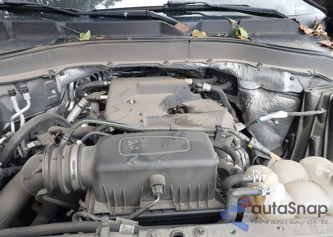 1FMSK8DH8LGA87784: 43091612