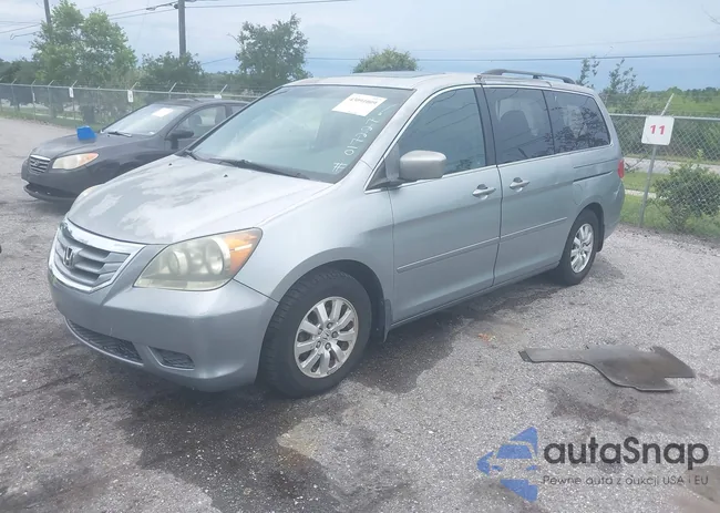 5FNRL38719B017227: 43091009