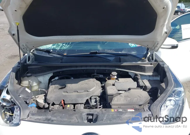 KNDP6CAC9M7854585: 43091016