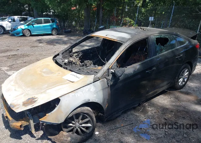 5NPE24AF1JH606521: 43092664