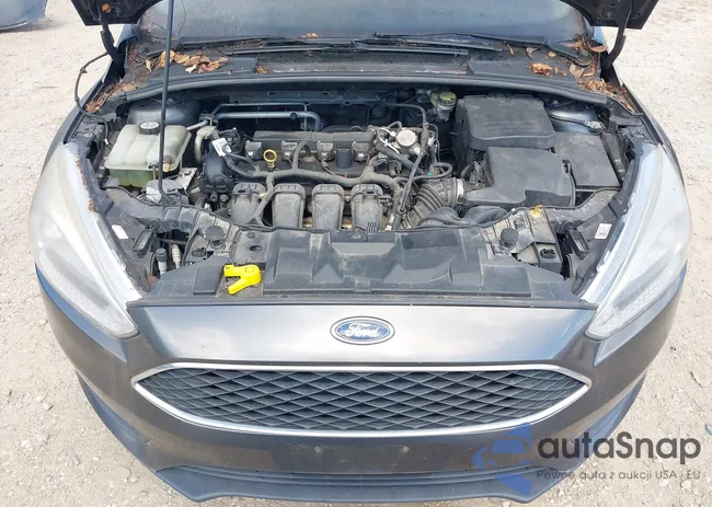 1FADP3F22GL345441: 43092702