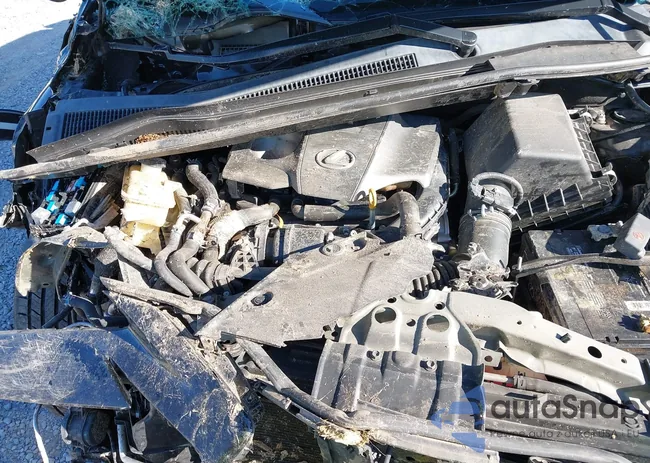 JTJYARBZ5H2077685: 43091853