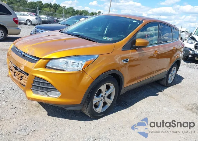 1FMCU9G91GUA22484: 43091872