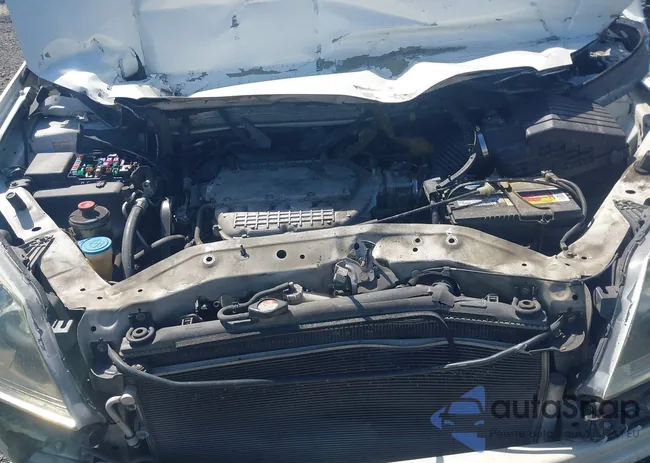 5FNRL38707B440118: 43091973