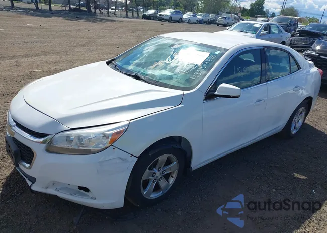 1G11C5SL0EF257141: 43092094