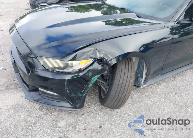 1FA6P8AM5H5305701: 43093105