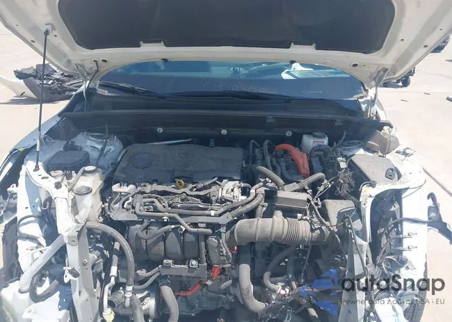 JTEAAAAH4MJ019917: 43093931