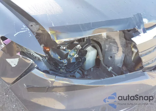 5FNRL5H9XDB028698: 43095317